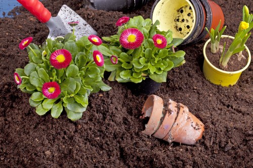 Professional planting services in Raynespark improving a front garden