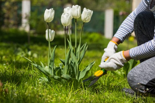 Wildlife-friendly planting services in Raynespark with colorful greenery