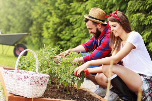 Accessible landscaping website content for Raynes Park users