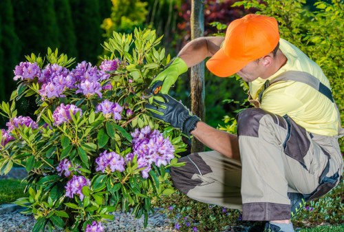 Professional tree lopping and removal work in a Raynespark garden