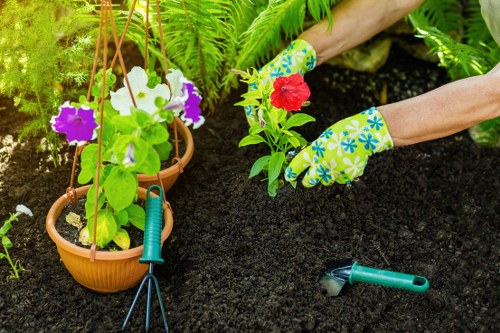 Fair local pricing for landscapers and rubbish removal in Raynes Park
