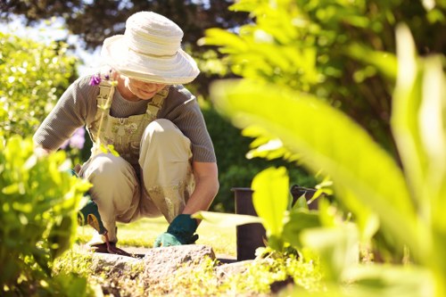 Professional hedge trimming in a Raynespark residential garden