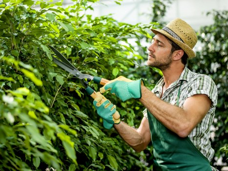 Staff managing garden waste and debris during a landscaping project