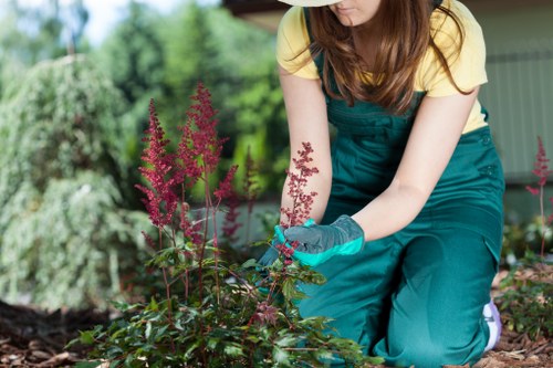 Soft landscaping and low-maintenance garden features in Raynespark