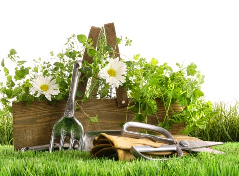 Aeration and soil improvement for lawn care in Raynespark