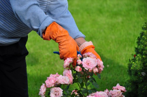 Eco-friendly landscaping recycling and waste separation in Raynespark
