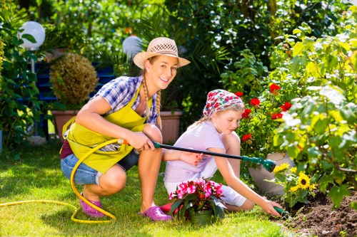 Weathered fence maintenance and restoration in Raynespark