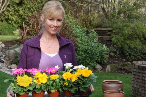 Professional lawn mowing service maintaining a tidy garden
