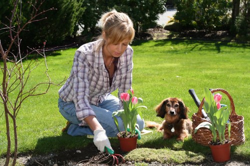 Planning a garden renovation layout in Raynespark