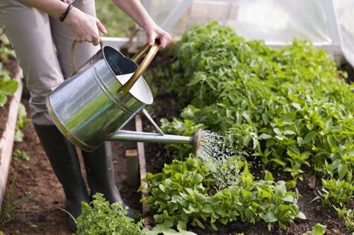 Charity reuse and recycling of surplus garden materials in Raynespark