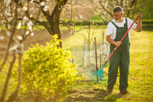 Raynespark garden with healthy shrubs and seasonal planting