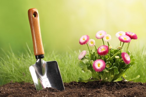 Seasonal lawn care and mowing in a suburban garden