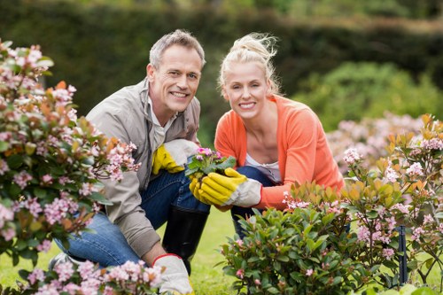 Professional response stage in a landscaping complaints procedure
